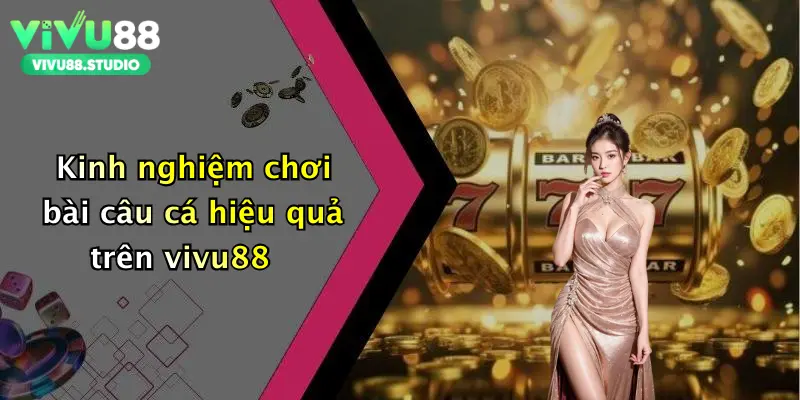 Kinh nghiệm chơi bài câu cá hiệu quả trên vivu88